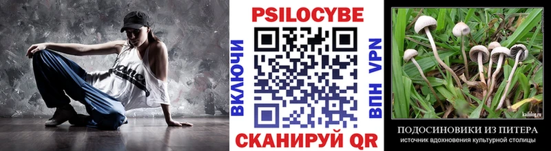 Псилоцибиновые грибы Psilocybine cubensis  купить наркоту  Олёкминск 