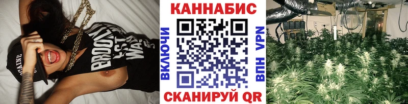 Бошки марихуана марихуана  Олёкминск 